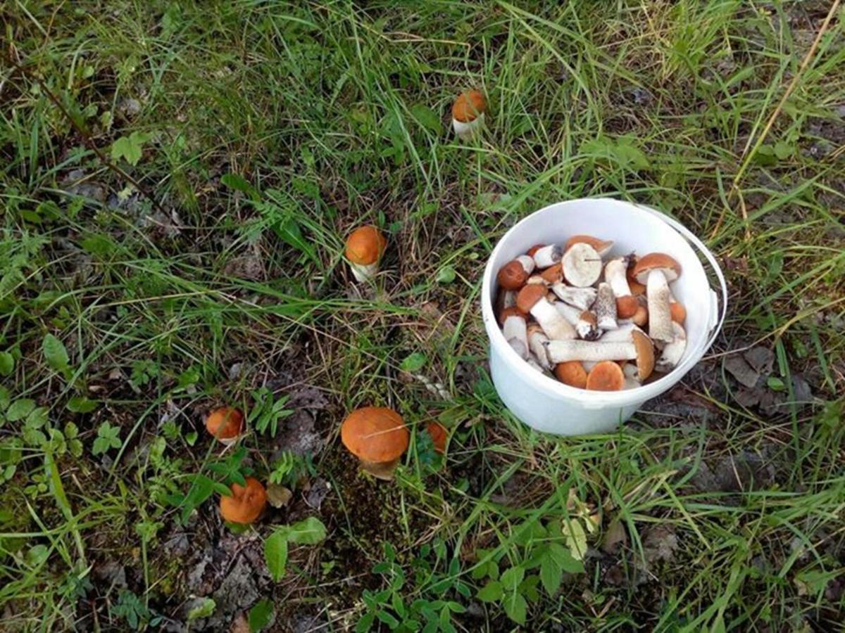 Agroturystyka A&G Dubeninki Zewnętrze zdjęcie