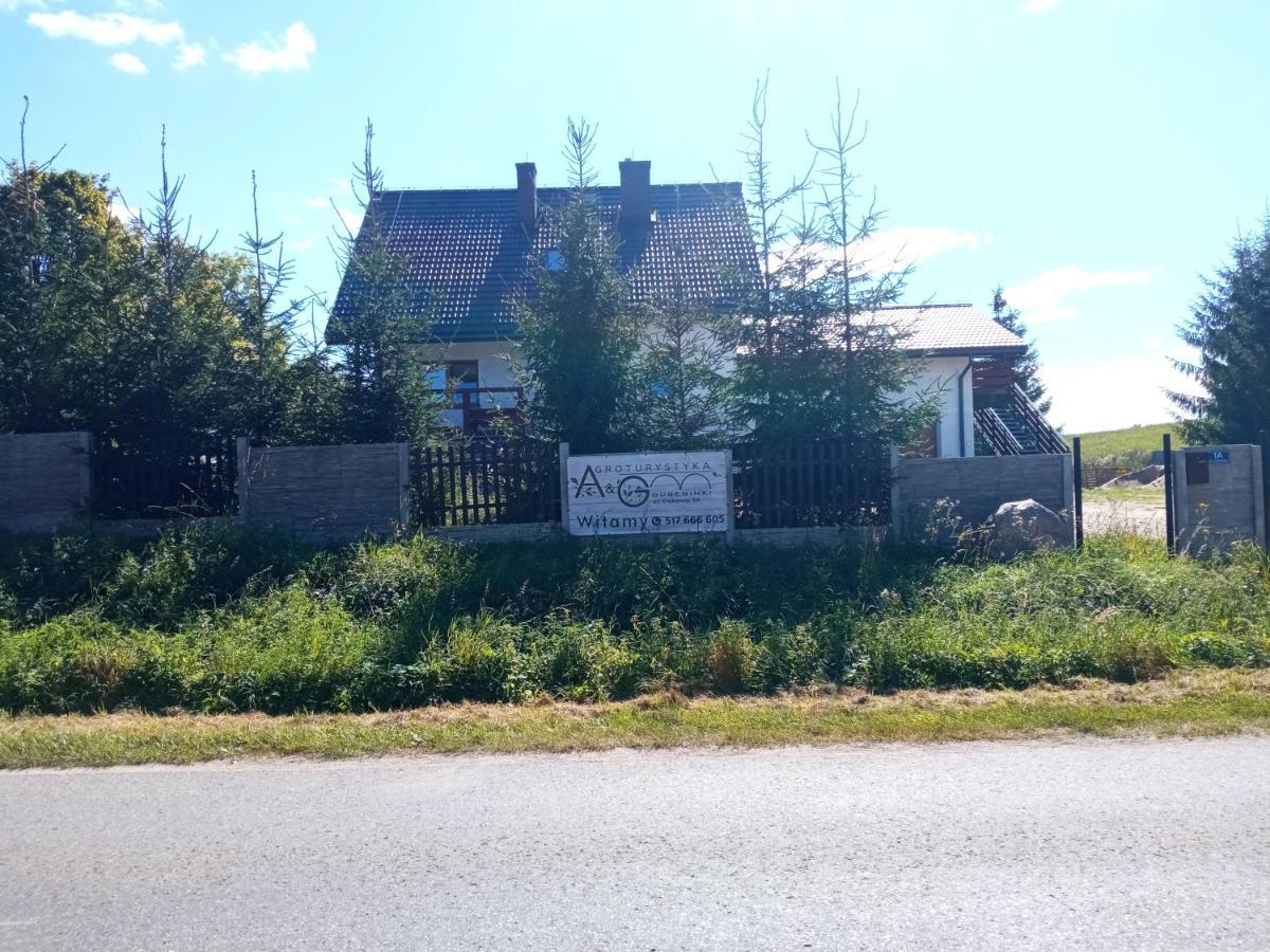 Agroturystyka A&G Dubeninki Zewnętrze zdjęcie